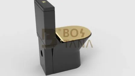 モダンデザイン ウォッシュダウン バスルーム 衛生器具 トイレ マットブラック 1個